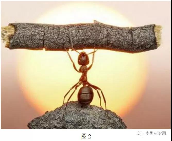 微信图片_20220221111538.jpg