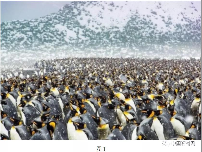 微信图片_20220221111459.jpg